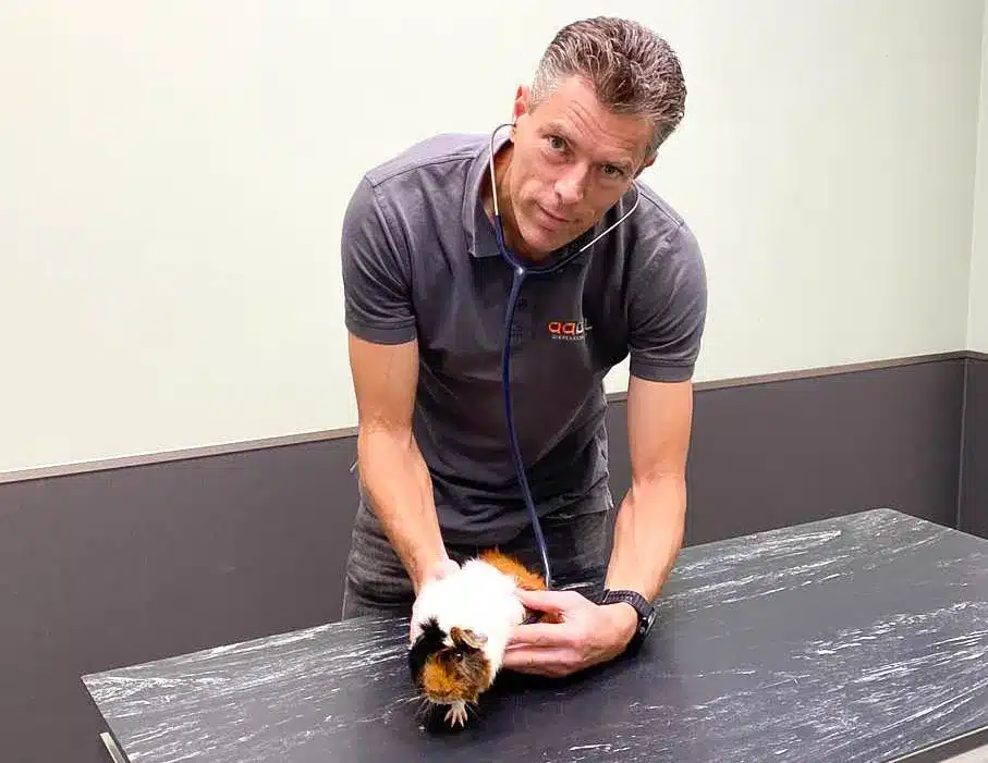 Vacature gezelschapsdierenarts